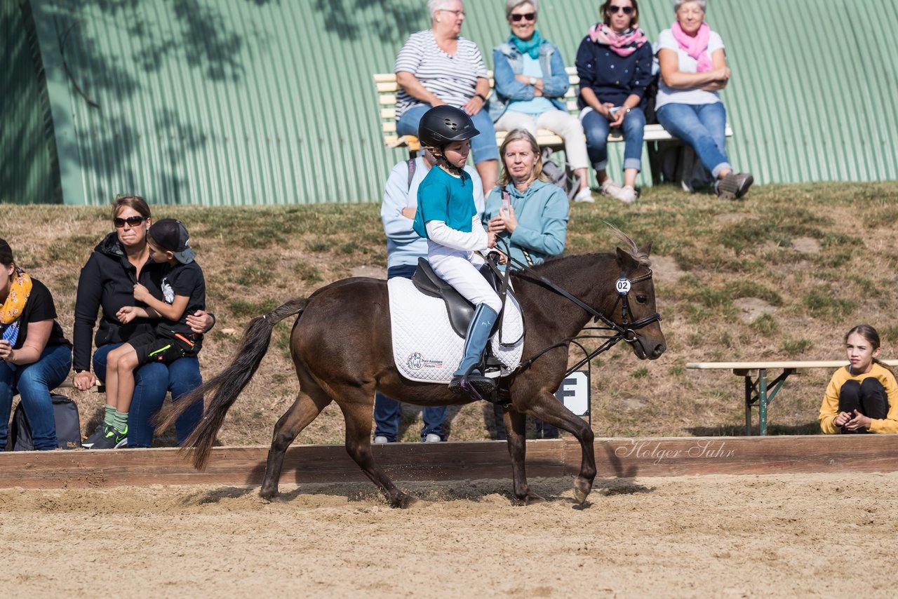 Bild 136 - Pony Akademie Turnier